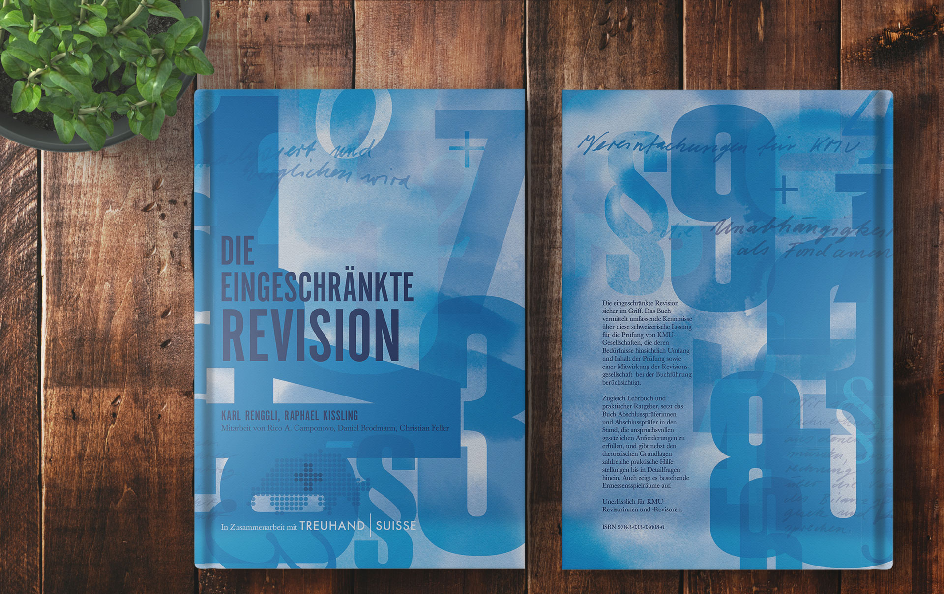 Die eingeschränkte Revision