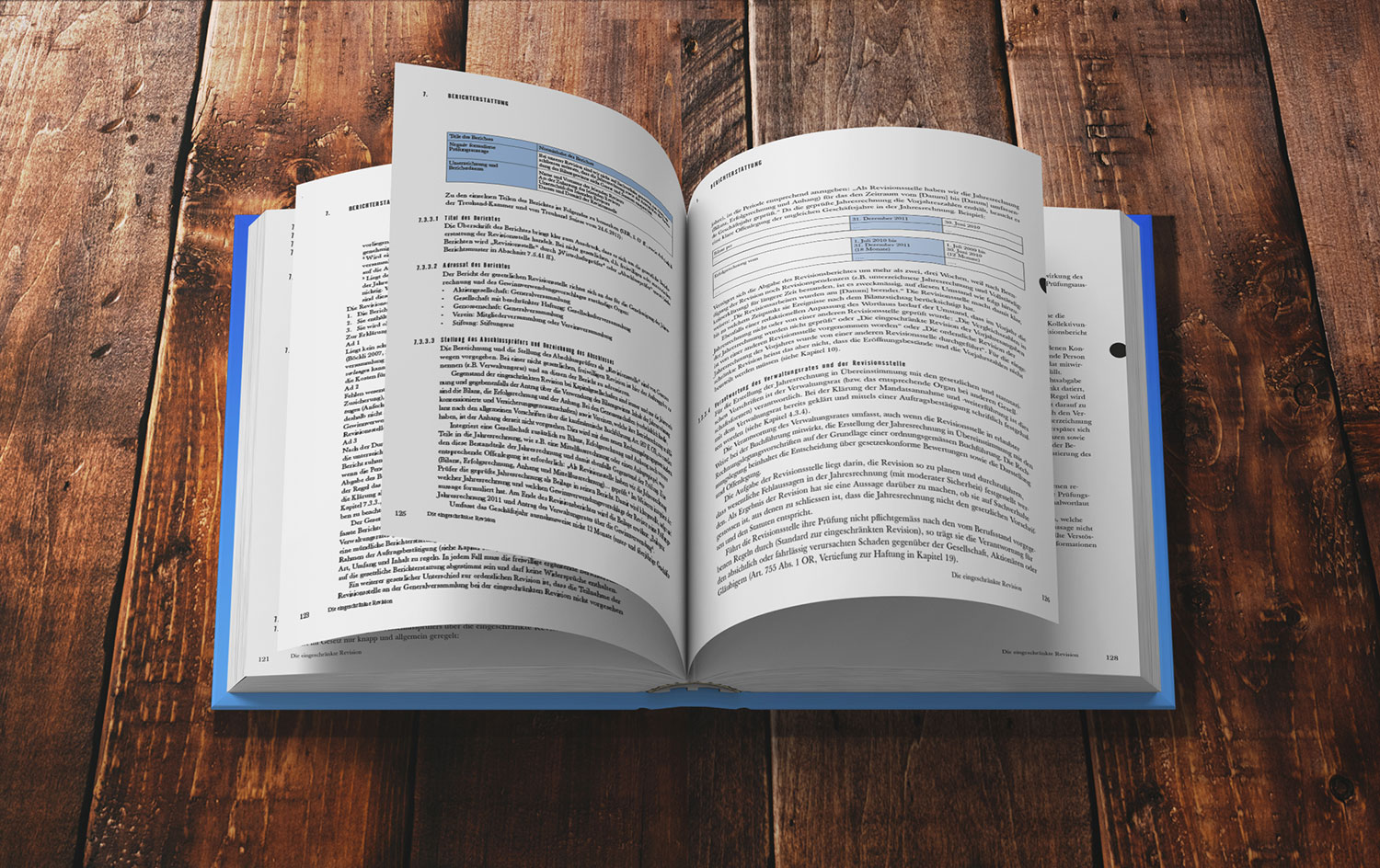 Die eingeschränkte Revision