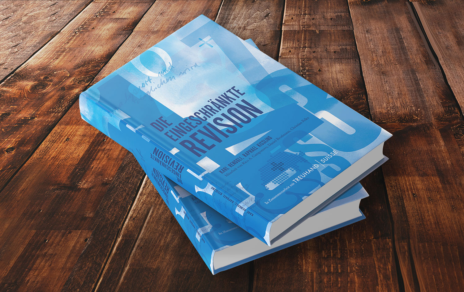 Die eingeschränkte Revision